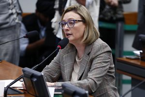 Relatora do projeto de lei, deputada Maria do Rosário (Foto: divulgação)
