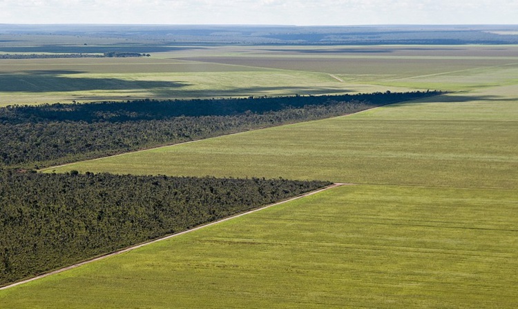 Liminar de Mendonça é derrubada sobre venda de terras para estrangeiro