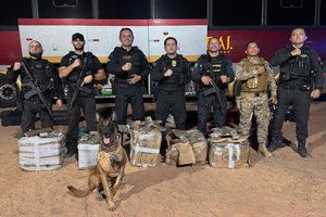 SSP-PI apreende 250 quilos de drogas e prende dois suspeitos em operação em Bom Jesus (Foto: Divulgação)