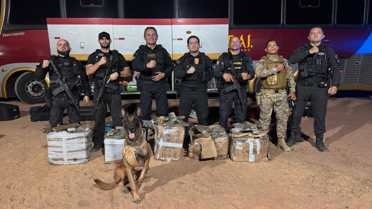 SSP-PI apreende 250 quilos de drogas e prende dois suspeitos em operação em Bom Jesus