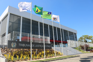 Sede do TJ/PI tribunal de justiça do Piauí (Foto: Divulgação)