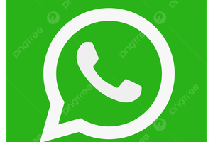 WhatsApp (Foto: Reprodução)