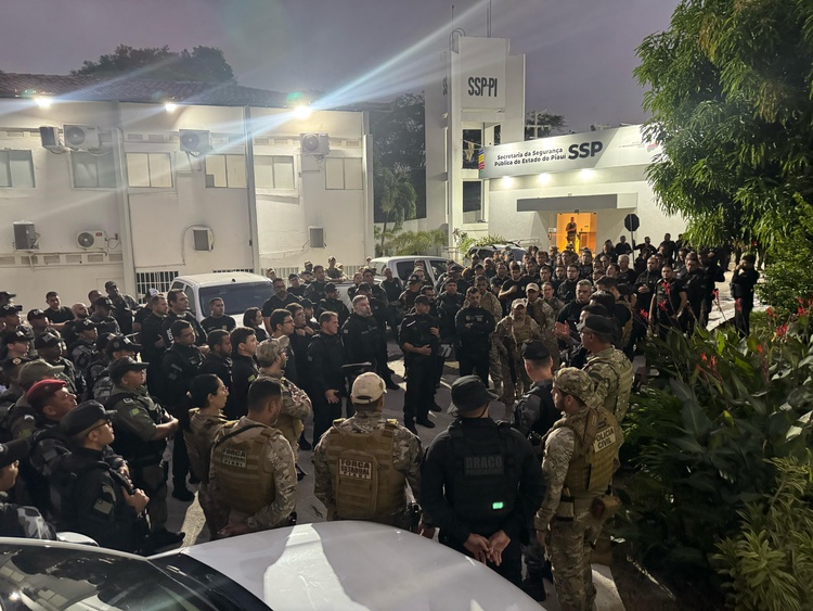 Segurança pública do Piauí desbarata organização criminosa em Teresina