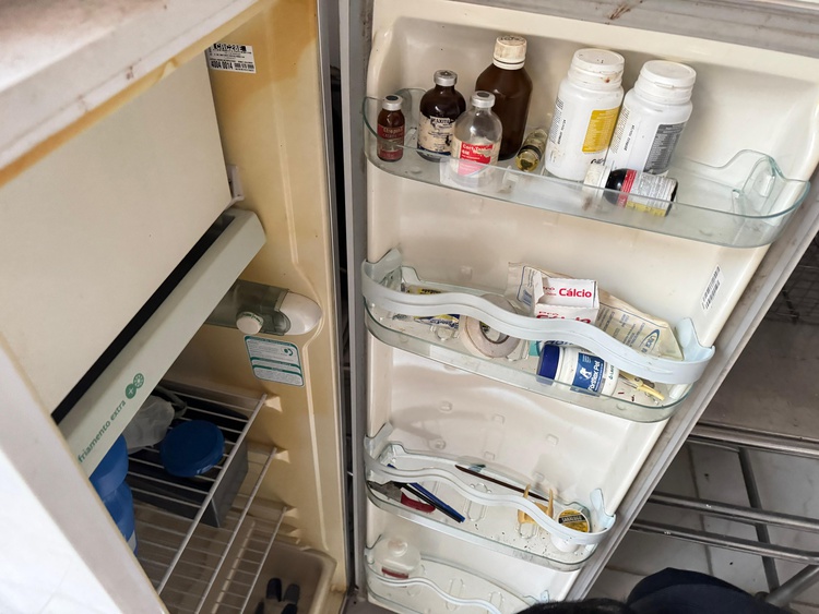 Polícia Civil do Piauí deflagra Operação Falso Vet e prende cinco pessoas por maus-tratos a animais