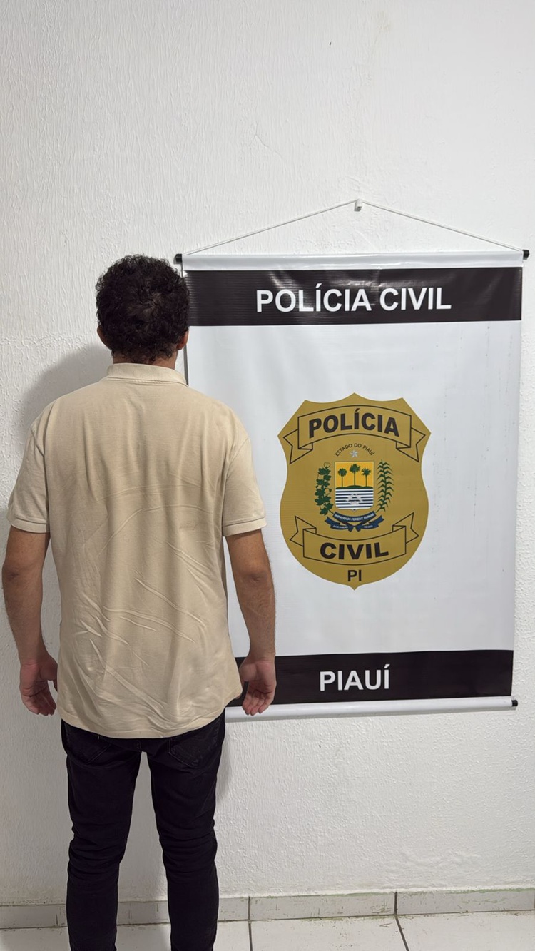 Polícia Civil cumpre mandado de prisão preventiva por fraude eletrônica em Altos