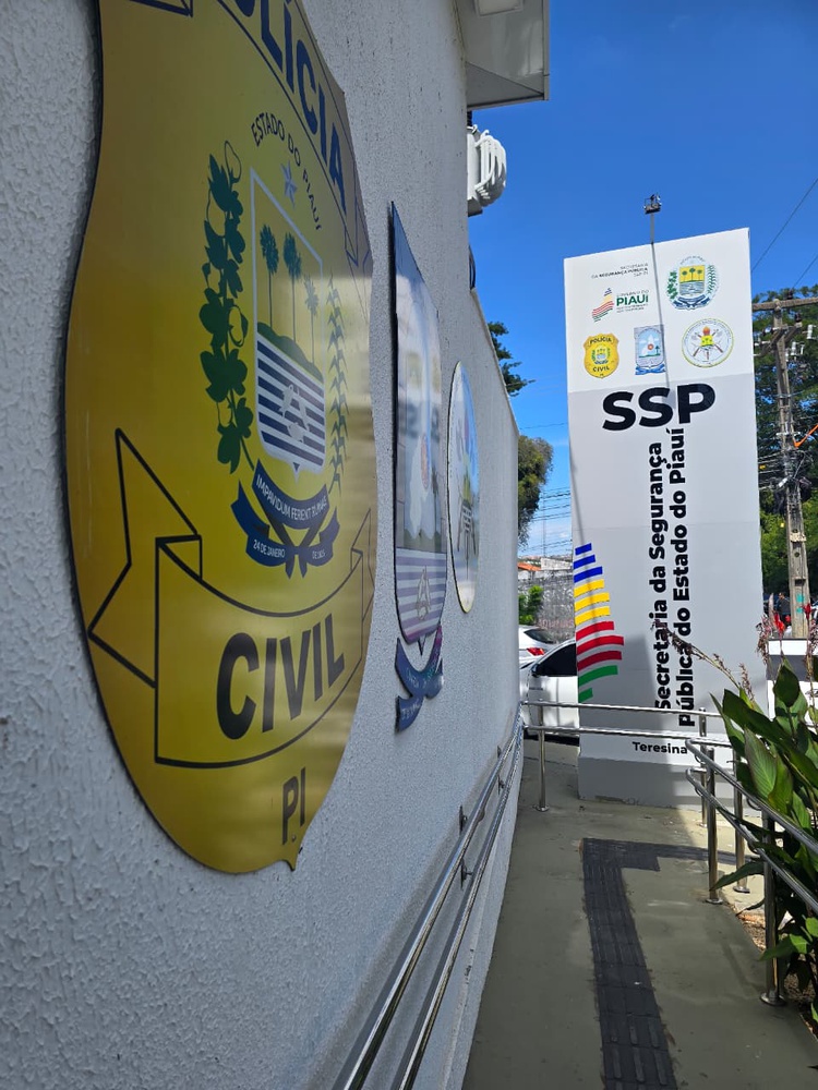 Polícia Civil cumpre mandado de prisão preventiva por fraude eletrônica em Altos