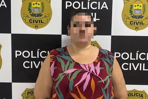Falsa advogada presa em Teresina (Foto: Divulgação)