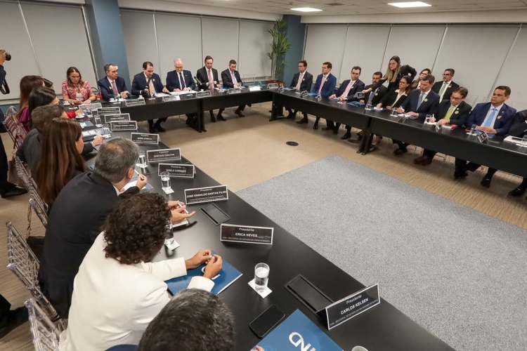 Presidente da OAB/PI participa de reunião com o STF e reforça defesa do fim de inquéritos de duração indefinida e das prerrogativas da advocacia.