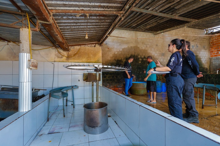Polícia Civil deflagra operação e fecha abatedouro clandestino de aves em Teresina