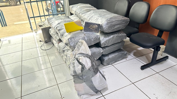 SSP-PI participa de apreensão de meia tonelada de entorpecentes, em Caxias, com apoio de cães farejadores